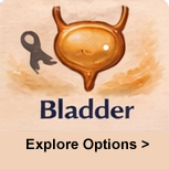 Bladder cancer watercolor illustration