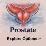 Prostate cancer watercolor illustration