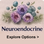 Neuroendocrine cancer watercolor illustration