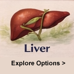 Liver cancer watercolor illustration